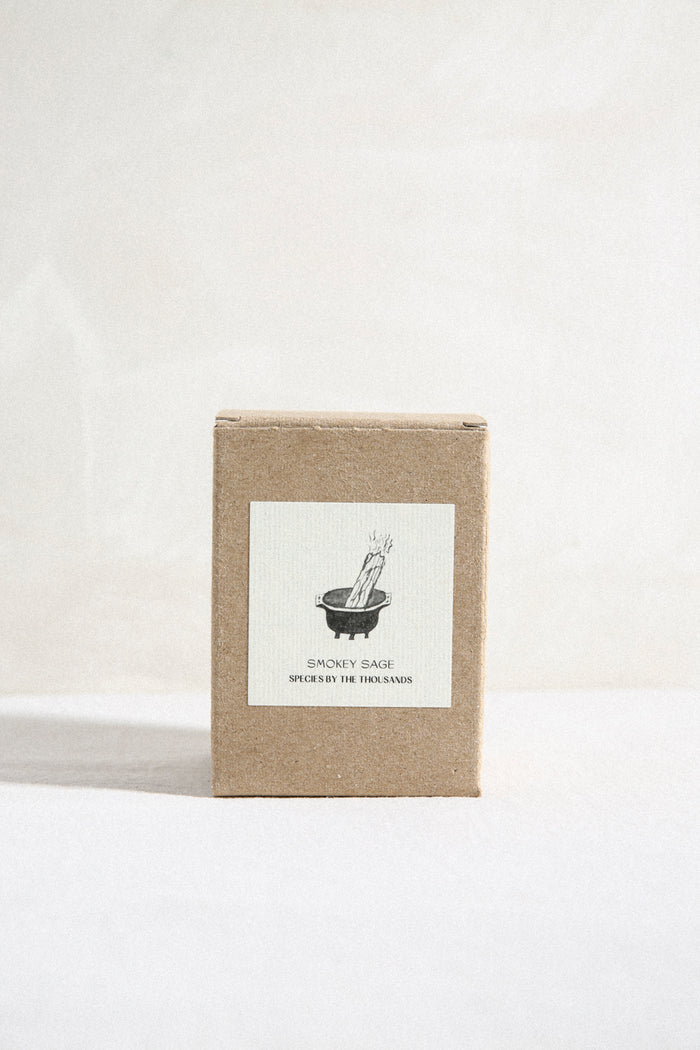 8oz Smokey Sage Candle
