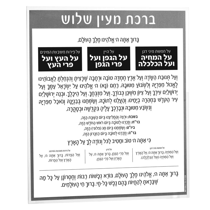 Al Hamichya lucite card featuring Hebrew text prayer blessings in black print on clear acrylic, 8x9 inches.
