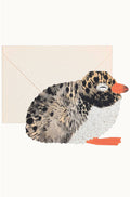 Arctic Tern Chick Greeting Card