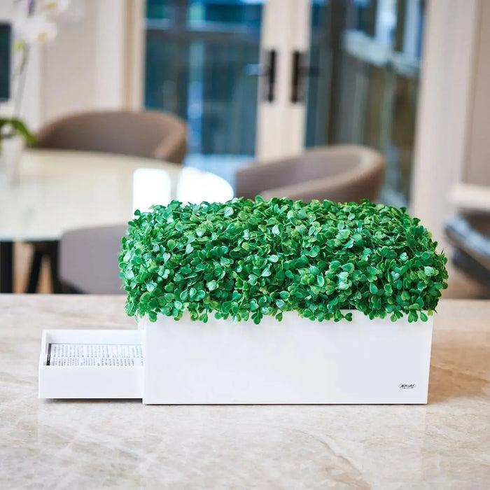 Boxwood Bencher Set with lush green faux foliage in white rectangular planter on wooden table, modern home decor.