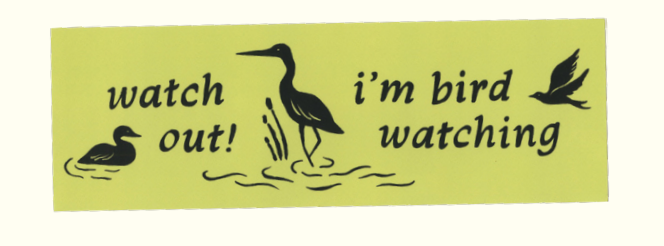 Birding