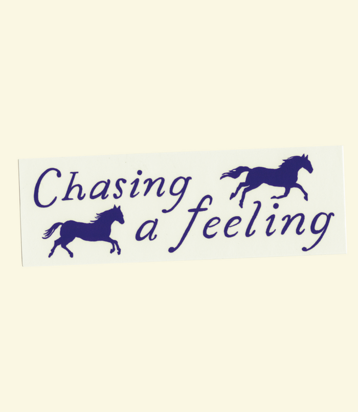 Chasing a Feeling