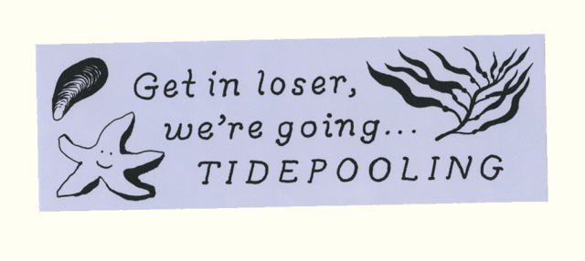 Tidepooling