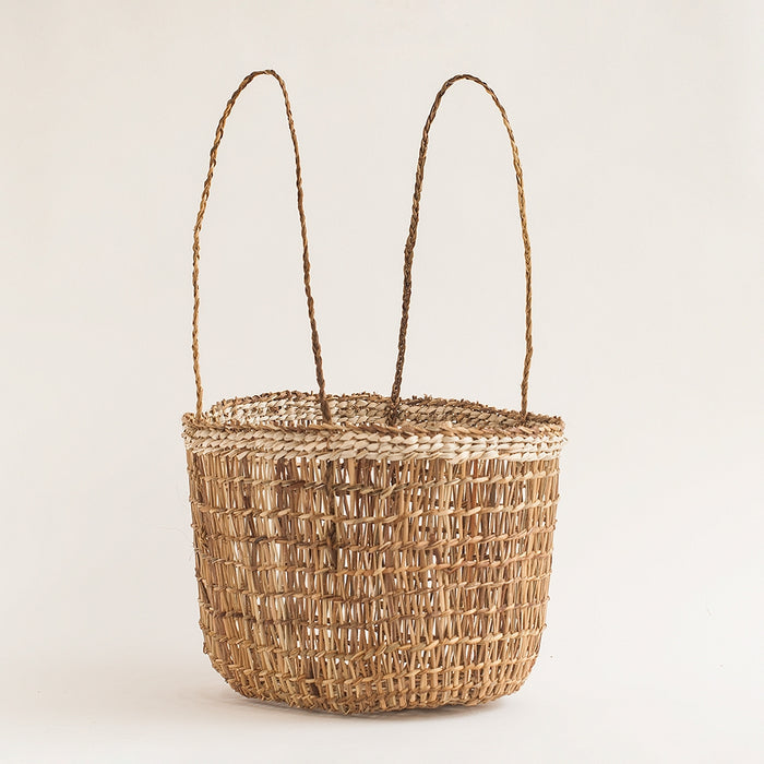 Citrus Basket