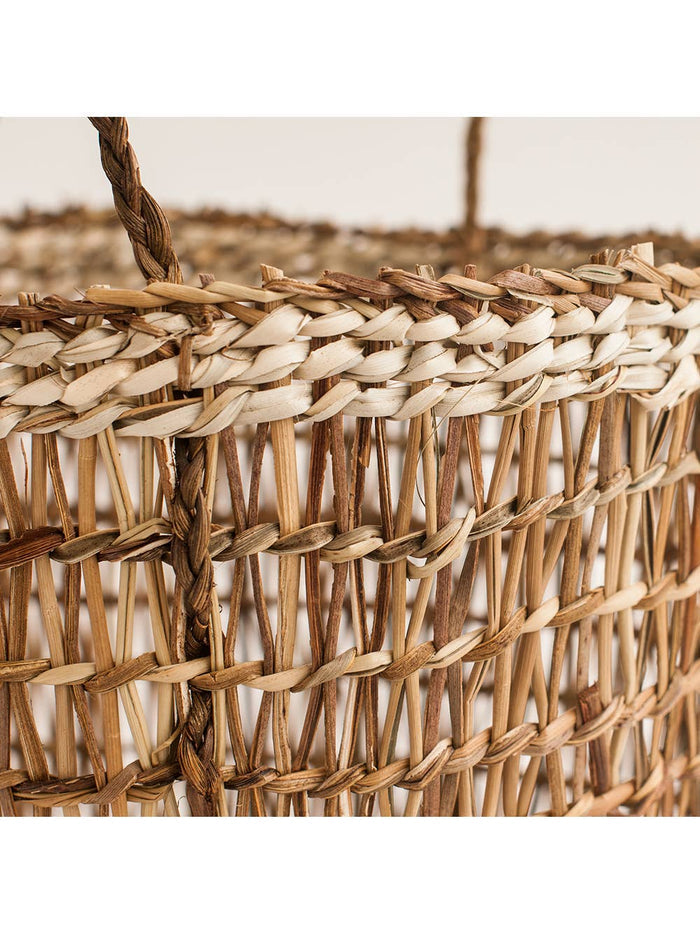 Citrus Basket