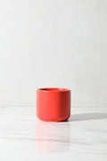 Demitasse Cup / Solamen