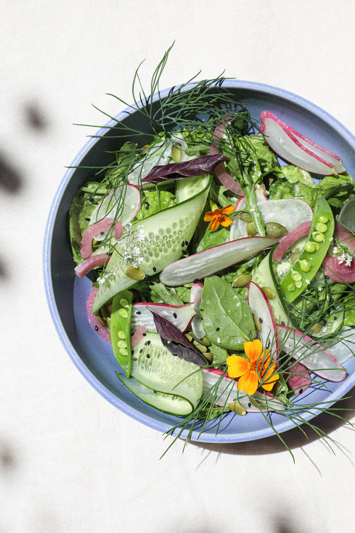 Dinner Bowl / Forget Me Not