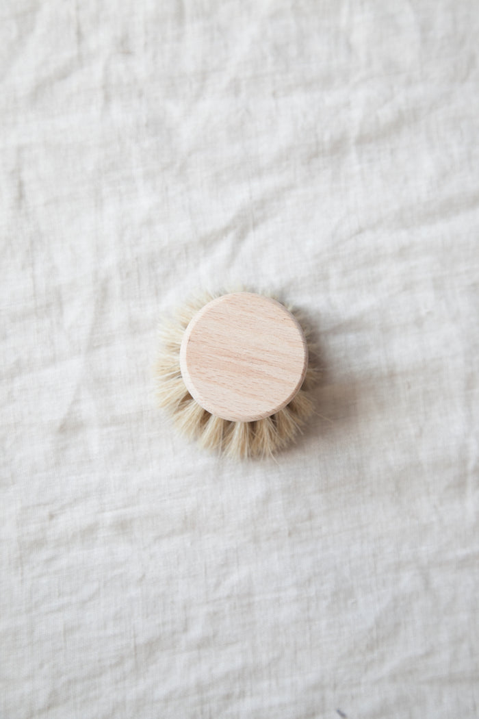 Dish Brush Refill