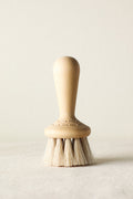 Face Brush