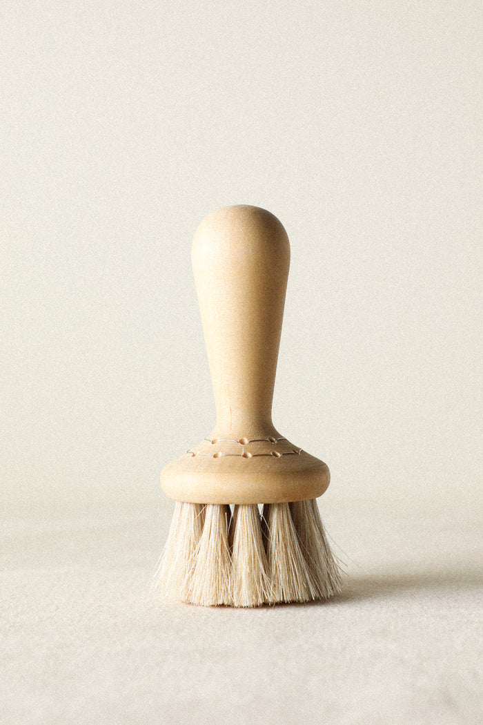 Face Brush