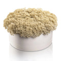 Greenery Round Vase Bencher Set with cream-colored faux floral arrangement in white cylindrical container, perfect for tabletop display and home decor.
