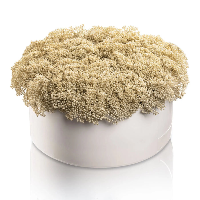 Greenery Round Vase Bencher Set with cream-colored faux floral arrangement in white cylindrical container, perfect for tabletop display and home decor.