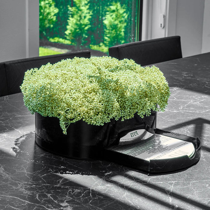 Greenery round vase bencher set with lush faux flowers on black marble table near window, by Waterdale Collection.
