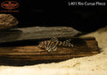 L401 Rio Curua Pleco
