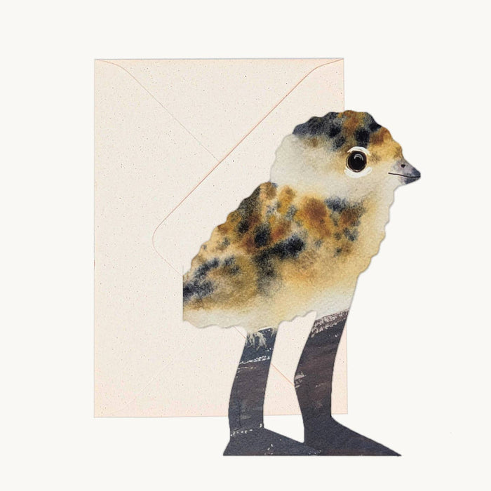 Lapwing Chick Greeting Card