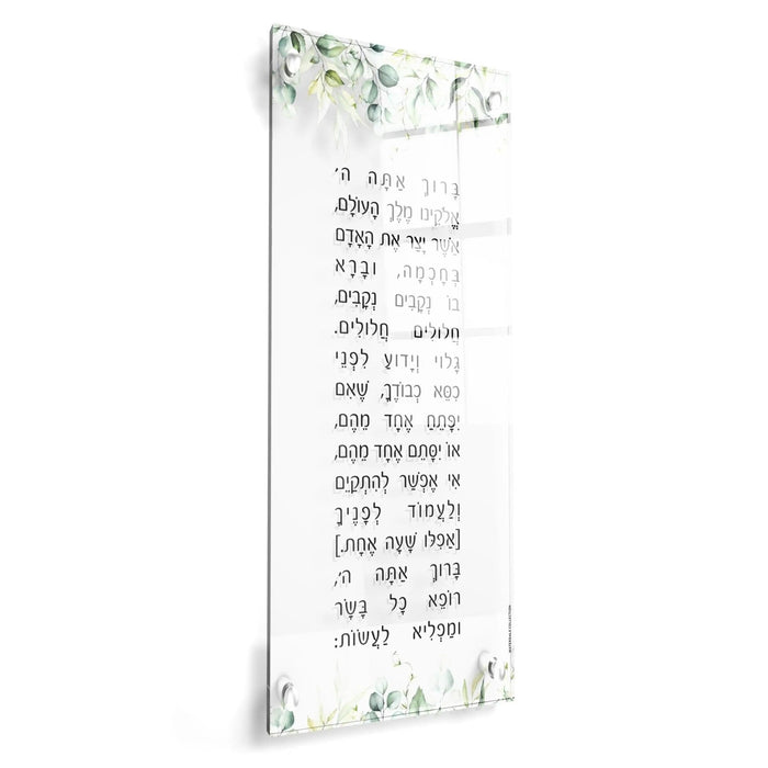 Leaf Asher Yatzar wall art by Waterdale Collection featuring Hebrew prayer text with green botanical border design on white background.