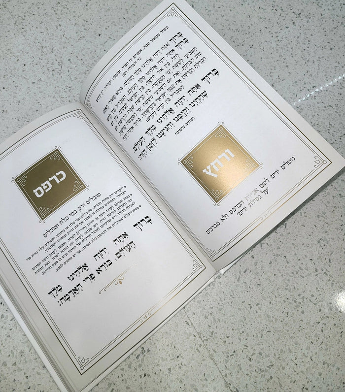 Leather Haggadah with Lucite Plate displayed open, showing tan leather cover and interior pages with text and gold plate insert for Passover.