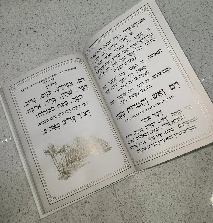 Leather Haggadah with Lucite Plate open showing Hebrew text pages and decorative insert, Passover holiday prayer book.
