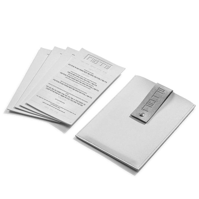 Tan leatherette Seder pouch with card set displayed open, showing printed Passover cards inside for Pesach holiday use.