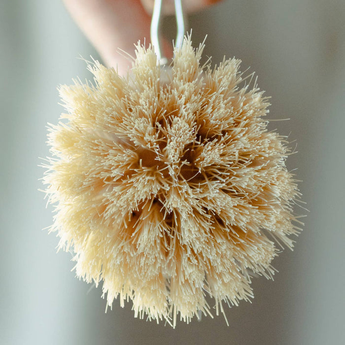 Long Handled Dish Brush