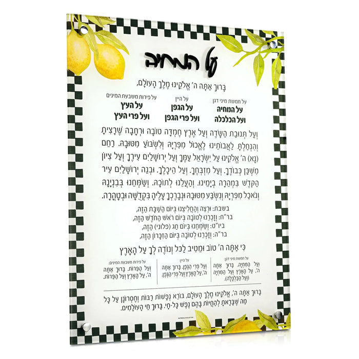 Onyx Lemona Al Hamichyah wall art print with yellow lemon design and black checkered border frame by Waterdale Collection