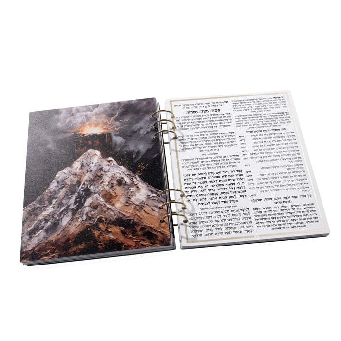Painted by Batya Lucite Haggadah open showing illustrated cover and text pages for Passover Seder