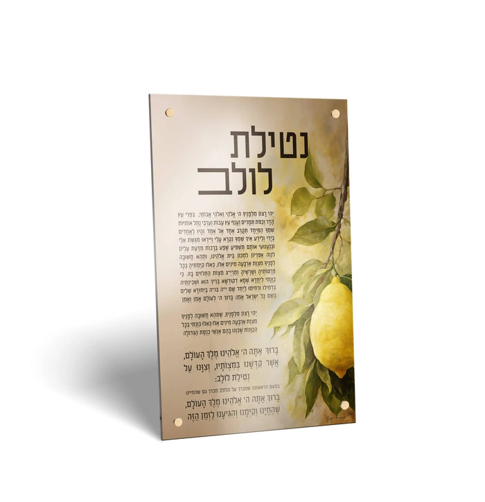 Painted by Batya sukkah decoration with a painted esrog (אתרוג) on white Lucite, ready to hang for Sukkot
