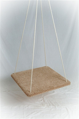 Platform Swing