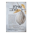 Silver Netilas Lulav by Batya, the bracha for lulav and etrog (אתרוג) in silver, for Succos