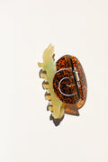 Snail Hair Claw