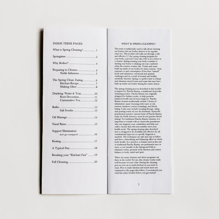 Spring Cleaning Zine