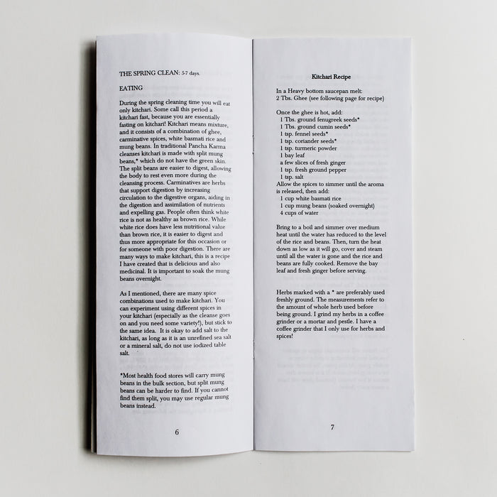 Spring Cleaning Zine