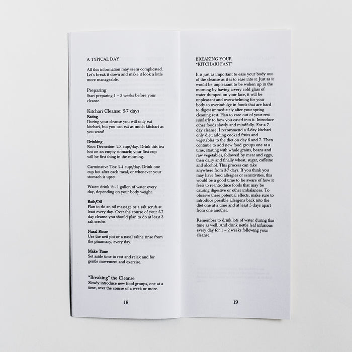 Spring Cleaning Zine