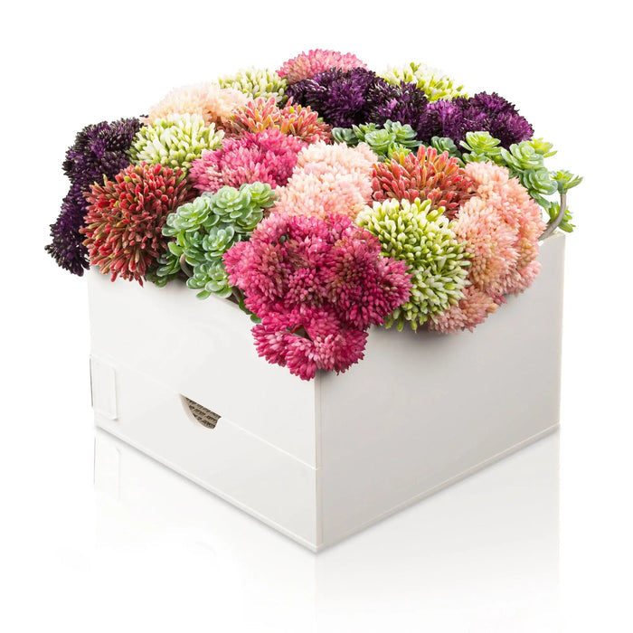 Colorful faux succulent bencher set in white box with pink, green, and purple clustered flowers for holiday entertaining and gifting.