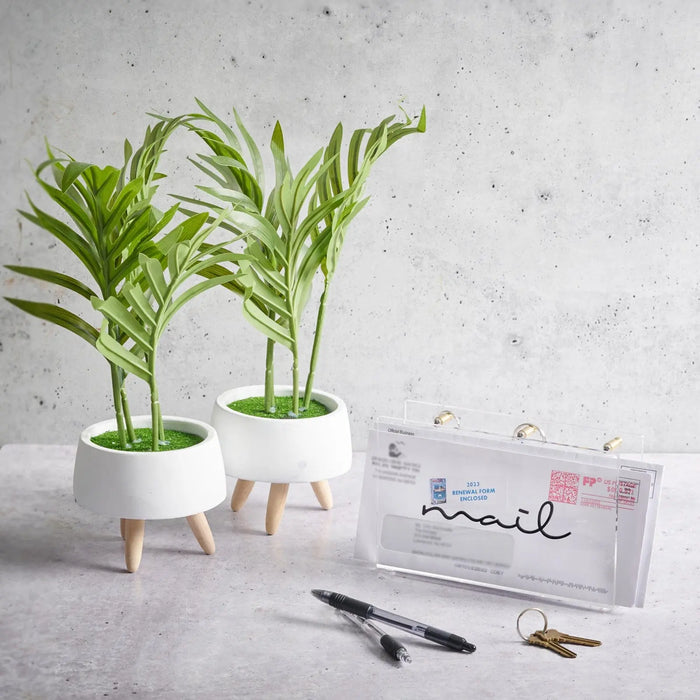 Clear acrylic mail and key holder with black "mail" text, displayed on a concrete surface next to potted plants and office supplies.