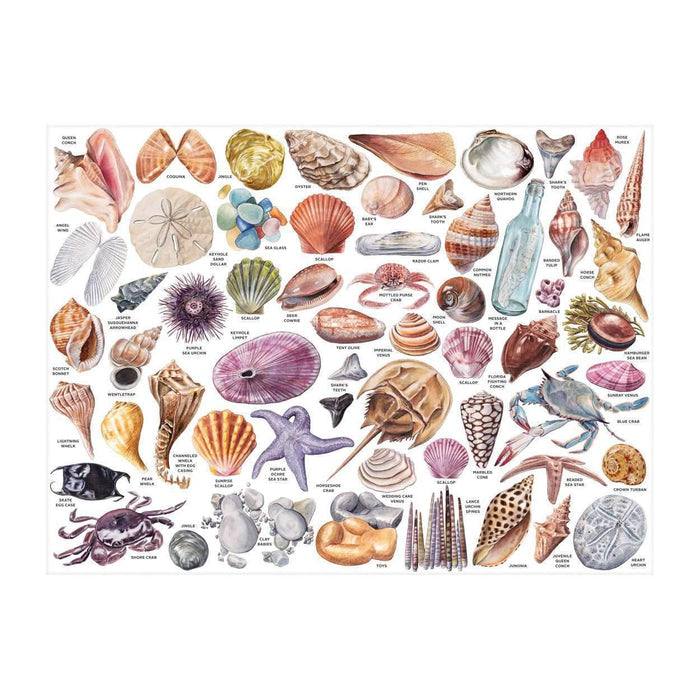 The Beachcomber's Companion 1000 Piece Puzzle With Shaped Pieces 1000 Piece Puzzles Galison