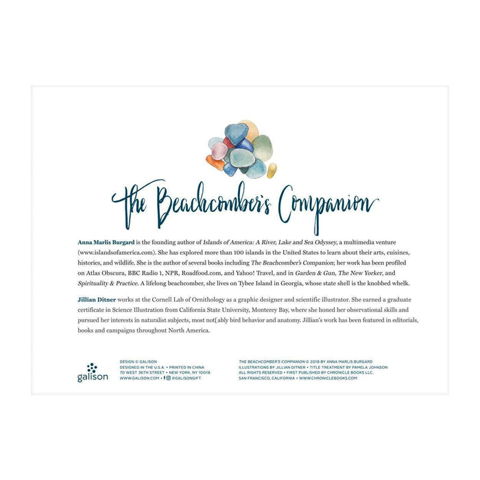The Beachcomber's Companion 1000 Piece Puzzle With Shaped Pieces 1000 Piece Puzzles Galison