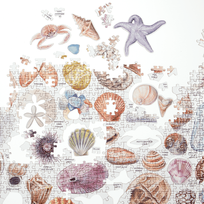 The Beachcomber's Companion 1000 Piece Puzzle With Shaped Pieces 1000 Piece Puzzles Galison