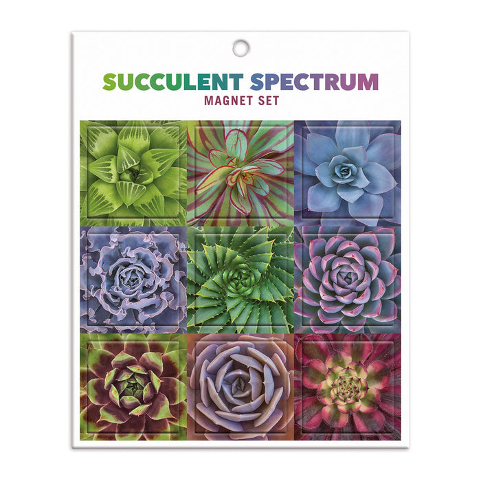 Succulent Spectrum Magnet Set Magnets Troy Litten Collection